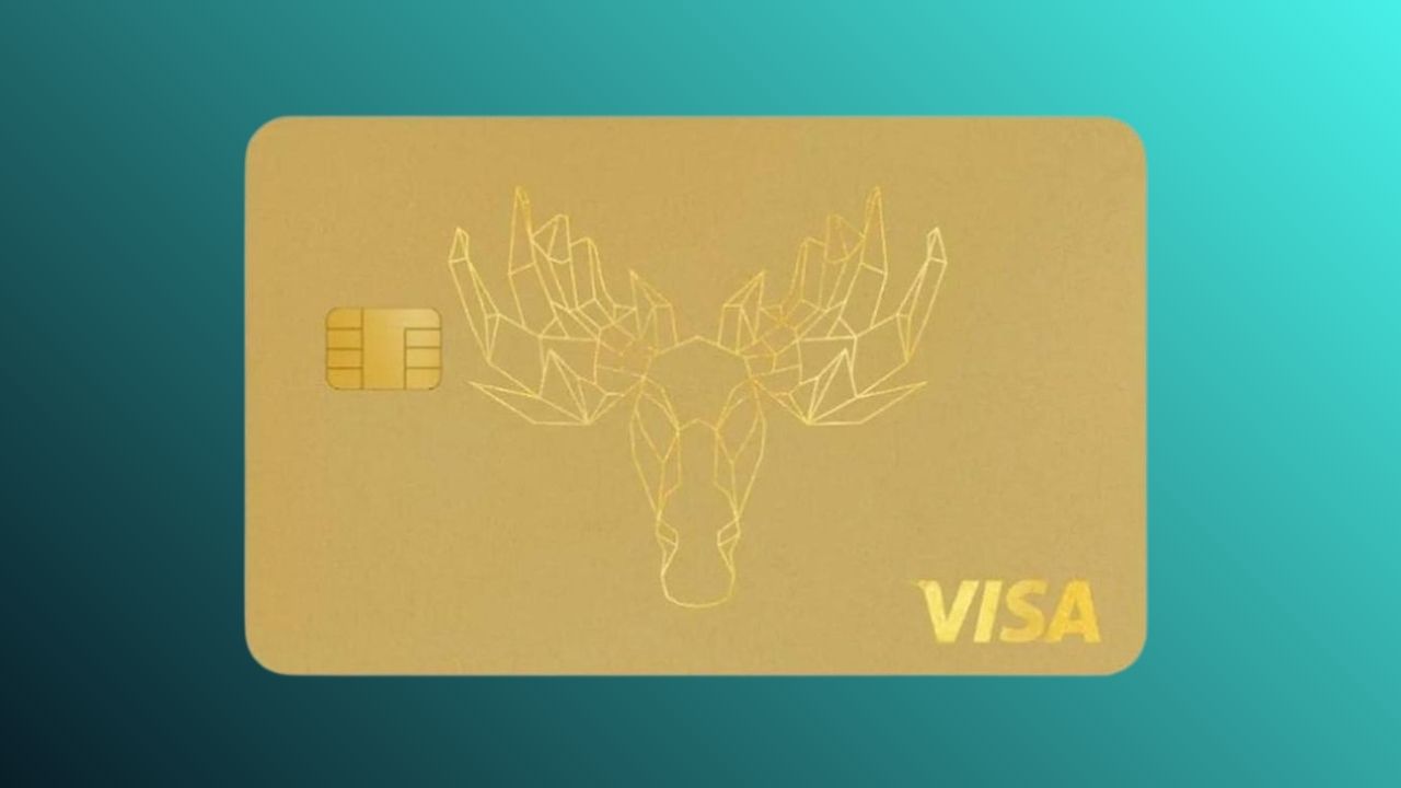 Bank Norwegian Visa Reisekreditkarte